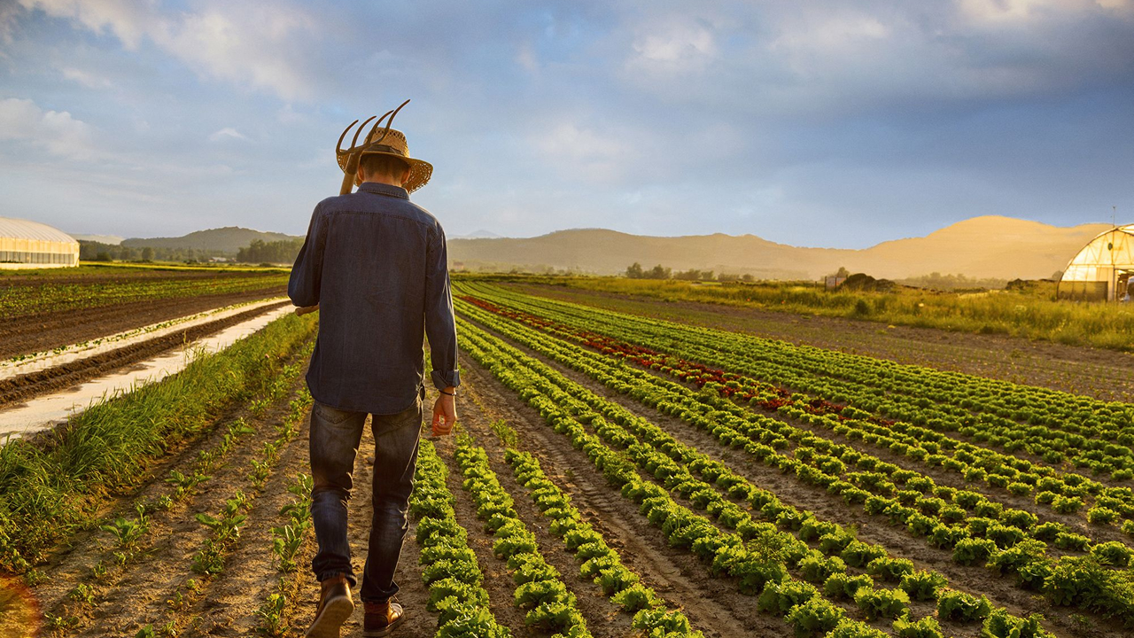Ormancılıkta Verimlilik: Tomruk Vincinden Dal Öğütmeye Kadar Her Şey